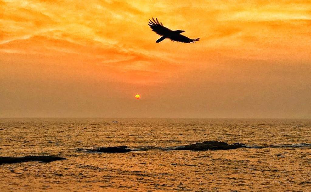 فندق ذا يوبي هيبي هايد آوت أنجونا المظهر الخارجي الصورة